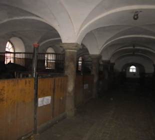 Schloss Fürstenstein ( Ksiaz ) Staatliches Gestüt