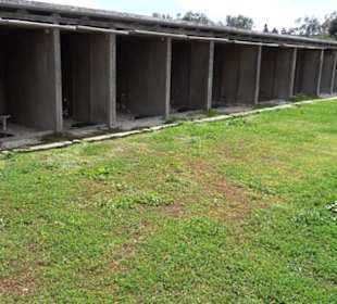 Malta Falconry Centre