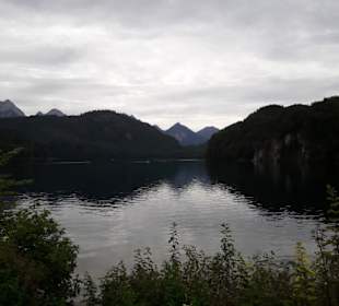 Alpsee