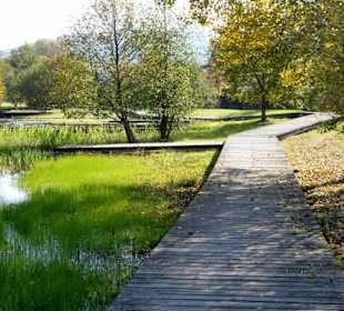 Bohlenwege und Teichlandschaft