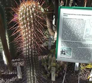 Botanischer Garten