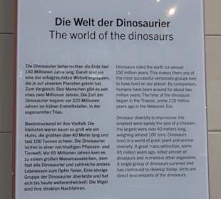 Museum für Naturkunde