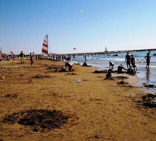 Am Strand entlang Kumköy-Evrenseki-Colakli