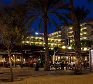 MG Café - panoramic
