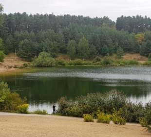 Der Birkensee