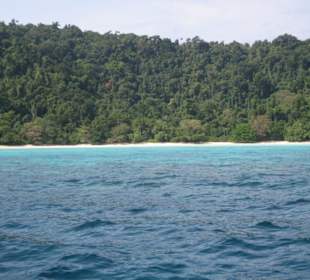 Geniales Schnorchelgebiet - Surin-Island - Thai