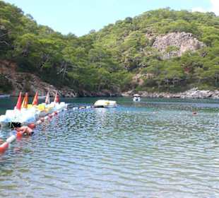 Lagune