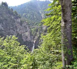 Schloss Neuschwanstein