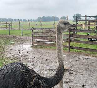 Stadtrundgang Rechlin