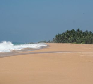 Strand von Bentota