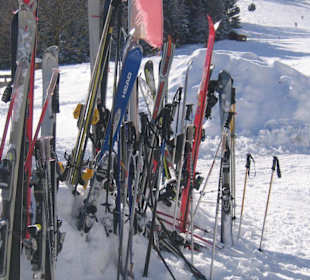 Skisalat