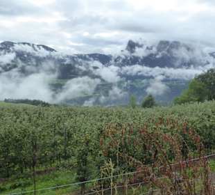 Lengsteiner Rundwanderweg
