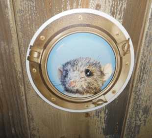 Die Ratte Jette wieder