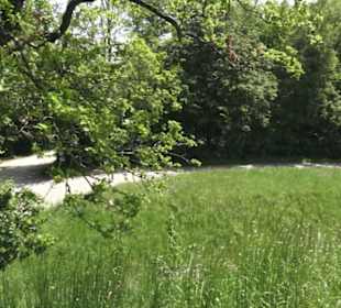 Burg Wäscherschloss