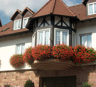 Weingut Altes Schlösschen L. Schneider