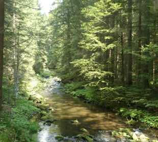 Von Bayerisch Eisenstein nach Ludwigsthal