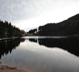 Blick auf Hotel vom Mummelsee