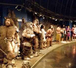 Muzeum archeologiczne