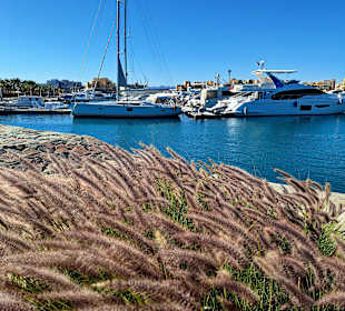 Yachthafen New Marina El Gouna