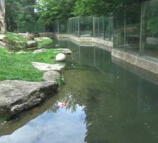 Tierpark Hellabrunn - Polarwelt