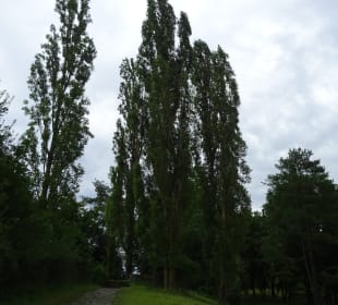 Im und ums Tapachtal