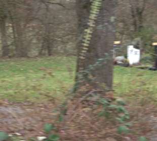 Friedhof Oferdingen 'Zum Wäldle'