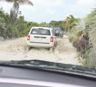 Fahrt nach Punta Allen