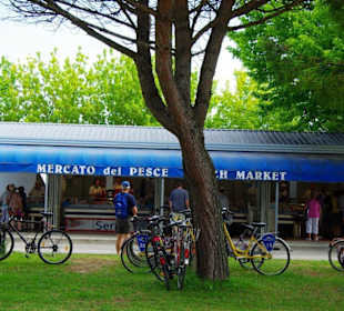 Frischer Fisch Fischhalle