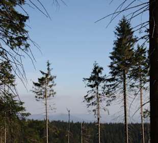 Droga na Baranią Górę