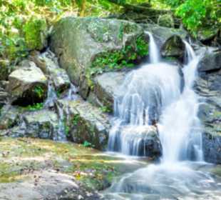 Ton Chong Fah Wasserfall