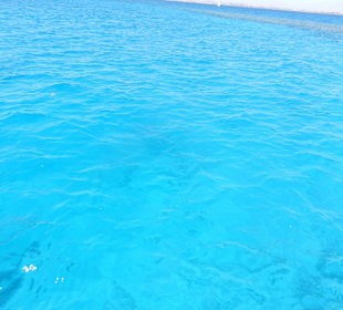 Rotes Meer/Red Sea - Hurghada