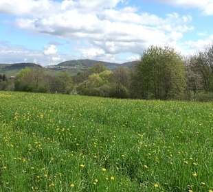Naturerlebnisweg des NABU-Metzingen