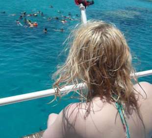 Beim Schnorcheln, Tagestrip 40€