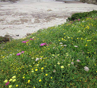 Sardische Strandimpressionen