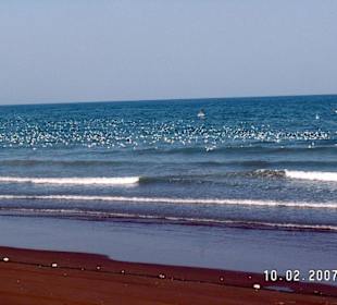 Strand von Sohar