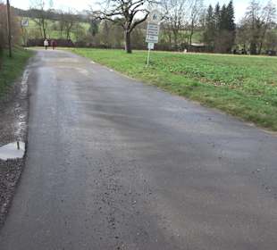 Gomaringer Rundweg - Zu den Giganten im Wald