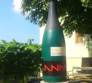 Umgebung Vinothek St. Anna/Aigen