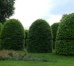 Национальный ботанический сад им. Н. Гришко