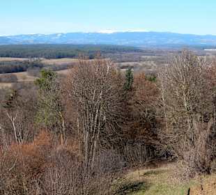 Blick von oben