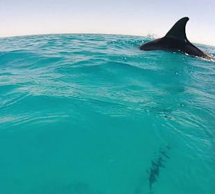 Unvergessen Momente bei Ralf und Petra 