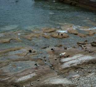 Gardasee - Ufer Impressionen