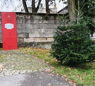Am Eingang mit Info zum Schloss