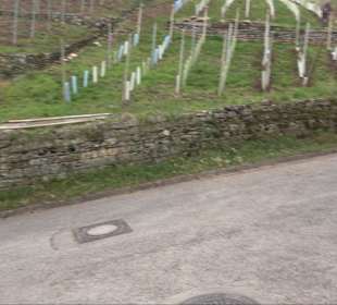 Unterjesinger Wengertwegle