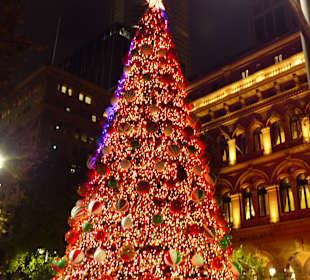 Stadtrundgang Sydney