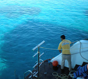 Schnorcheln bei Hurghada