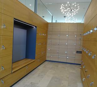 Staatliches Museum für NaturkundeRosensteinmuseum 