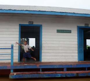 Schwimmende Schule auf dem See