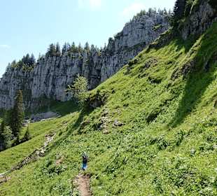 Grünten / Burgberger Hörnle