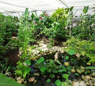 Rundgang durch den Jardin des Papillons