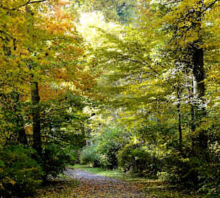 Herbstspaziergang durch den Bürgerpark Bremen